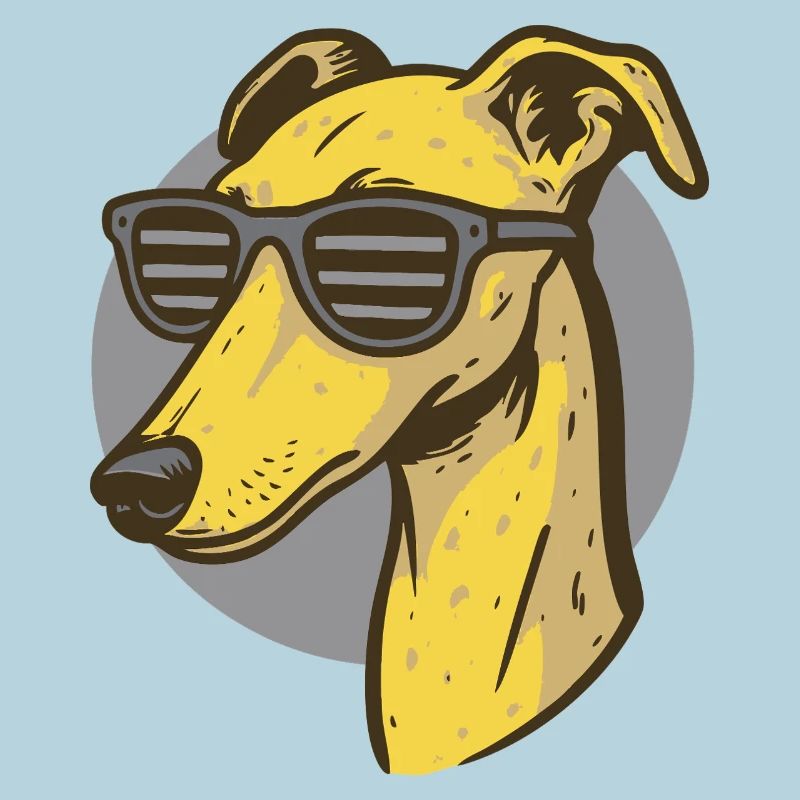 Windhund, Galgo