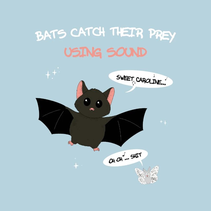 Bats catch their prey using sound