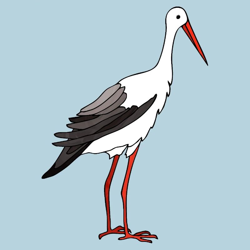Cigogne