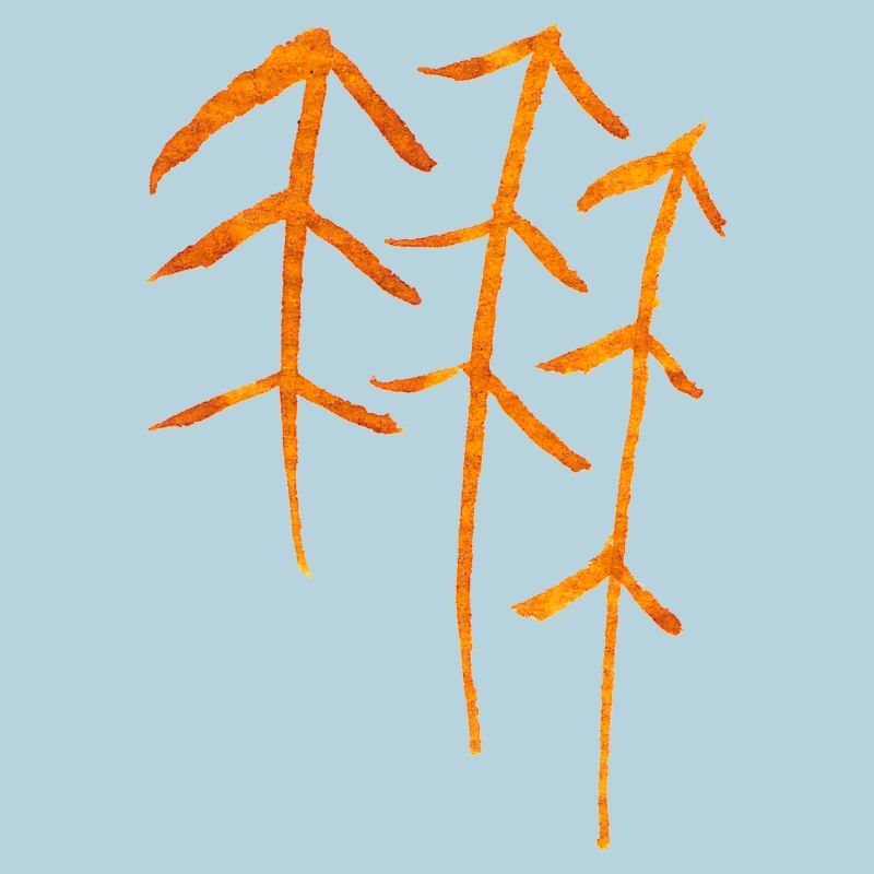 Fir Runes / Forest Symbol
