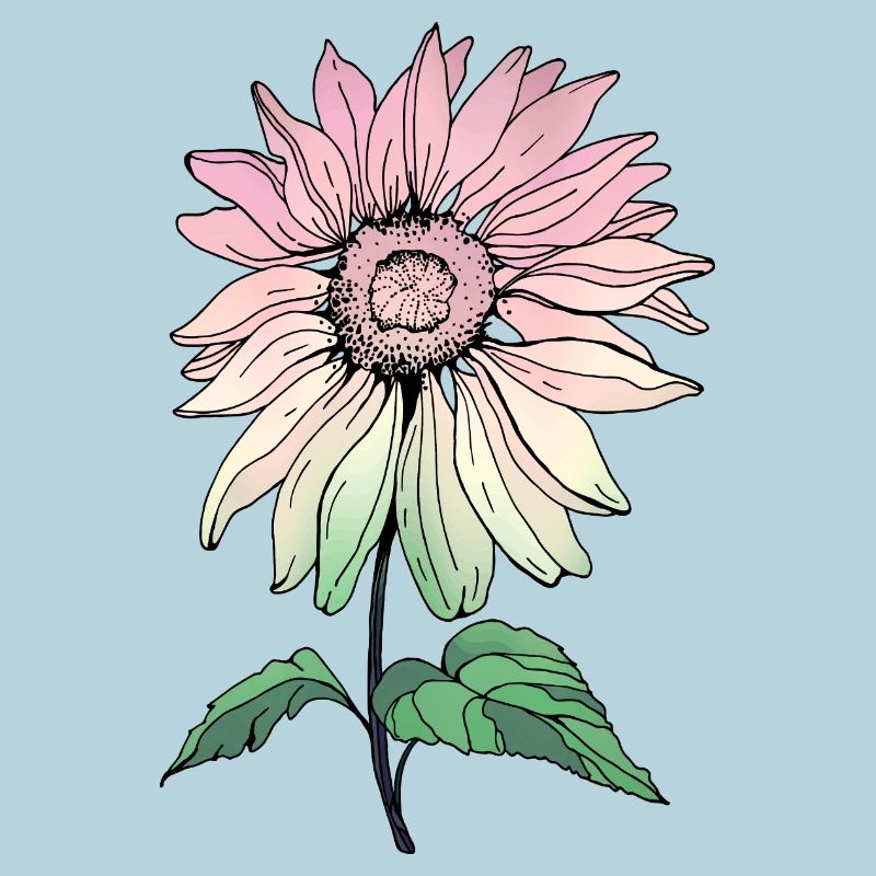 Blume