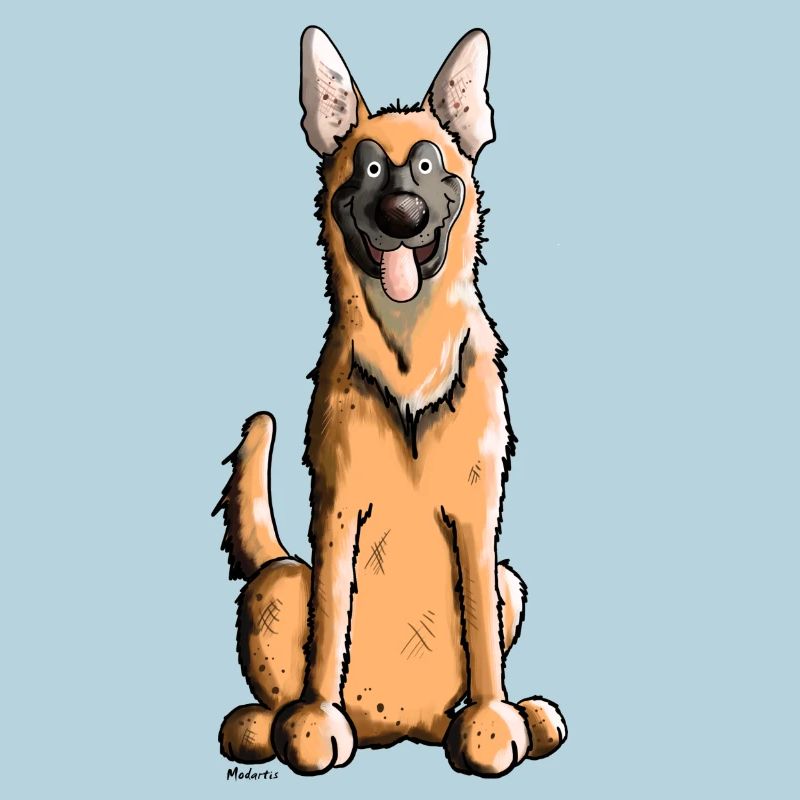Mignon Malinois Chien