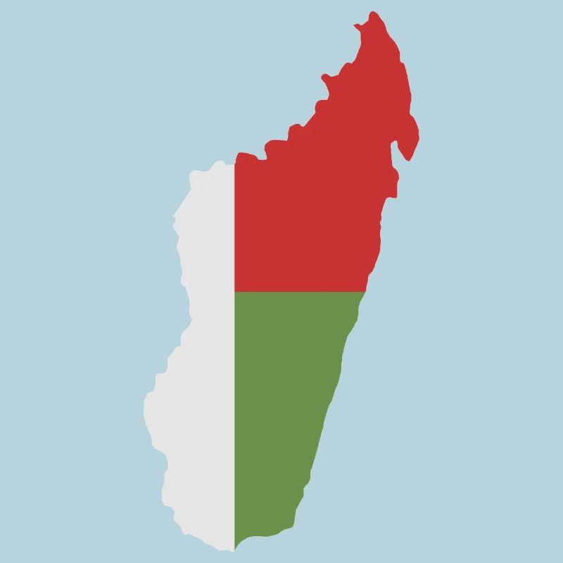 Carte de Madagascar avec drapeau