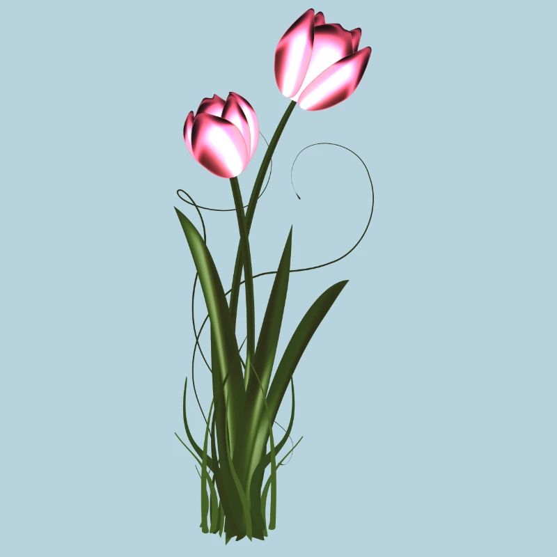 two metallic shimmering tulips in spring