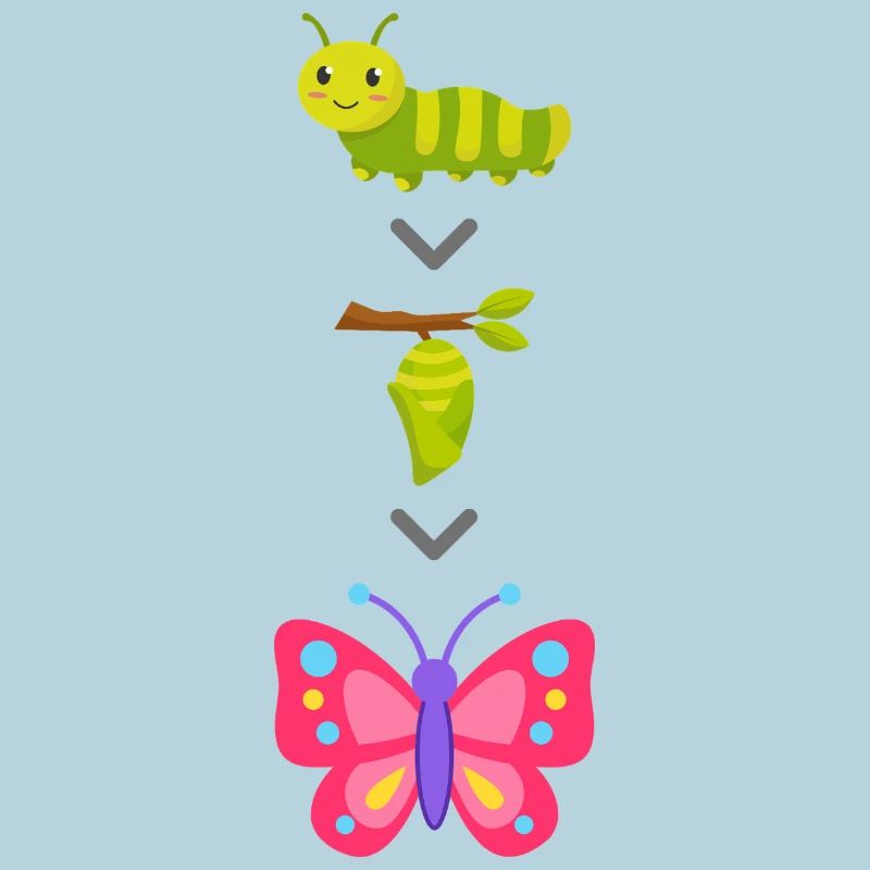 Transformation de chenille en papillon