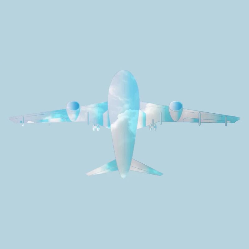 Passenger plane with cloud pattern