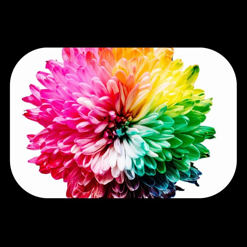 Rainbow Blossom Explosion