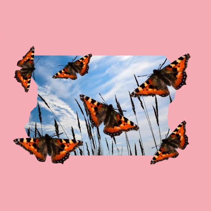 PAPILLON