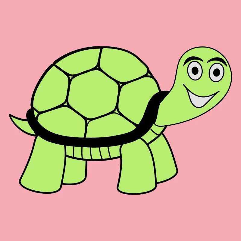 turtle