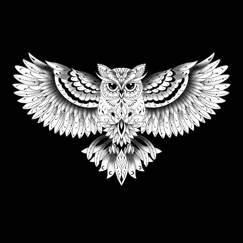 Eule dekorative Eule Zeichnung,