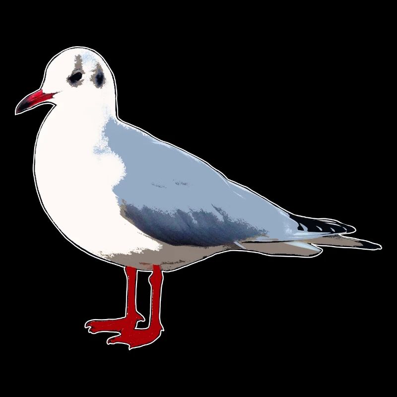 Möwe