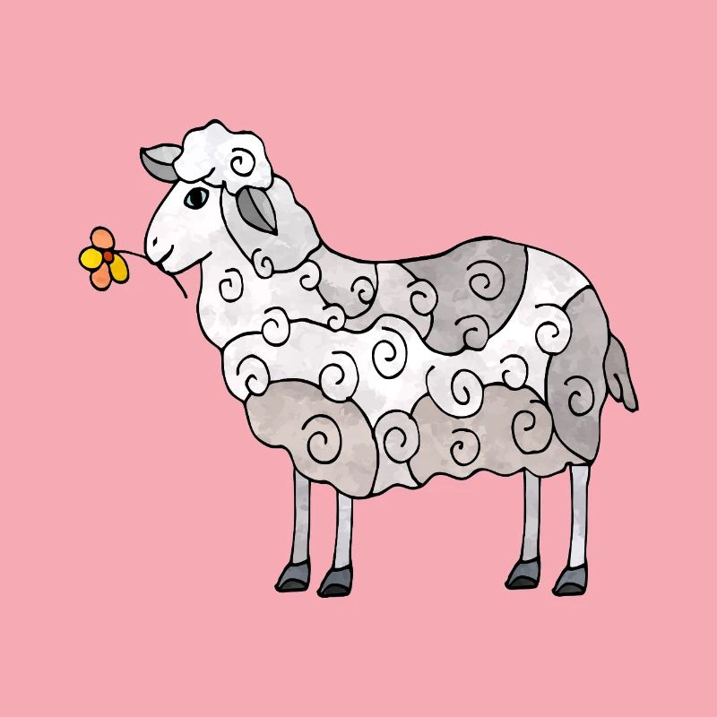 Sheep