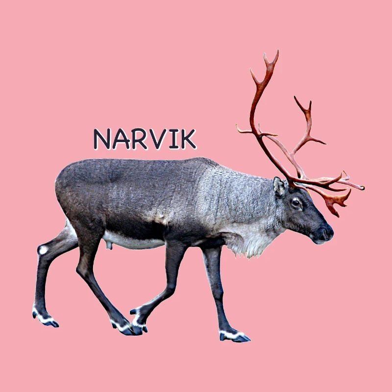 NARVIK