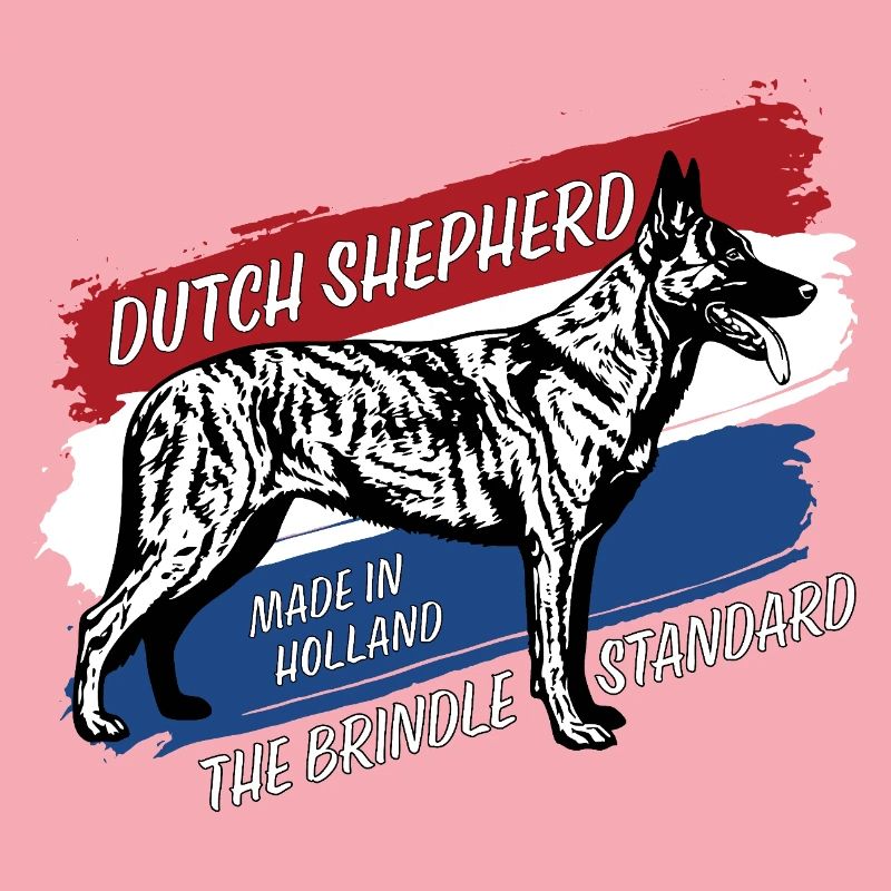 Dutch Shepherd – Dutchie
