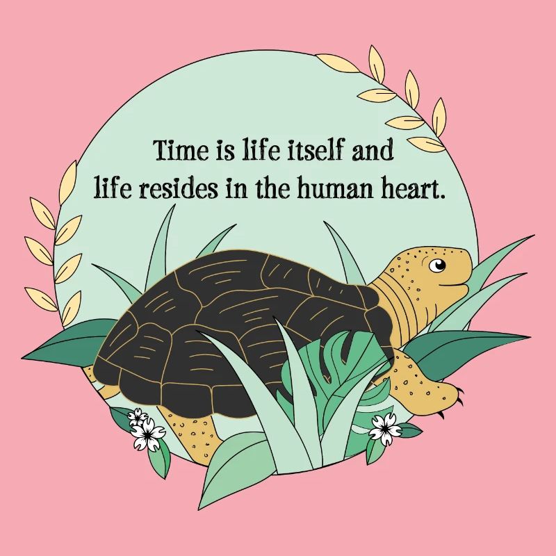 Schildkröte Kassiopeia