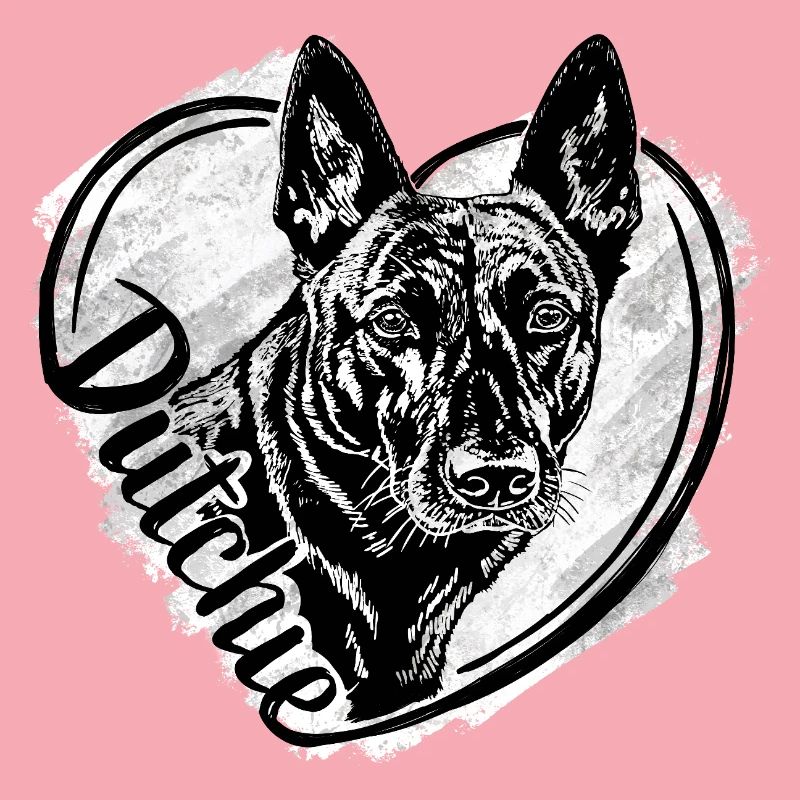 Dutch Shepherd -Dutchie 