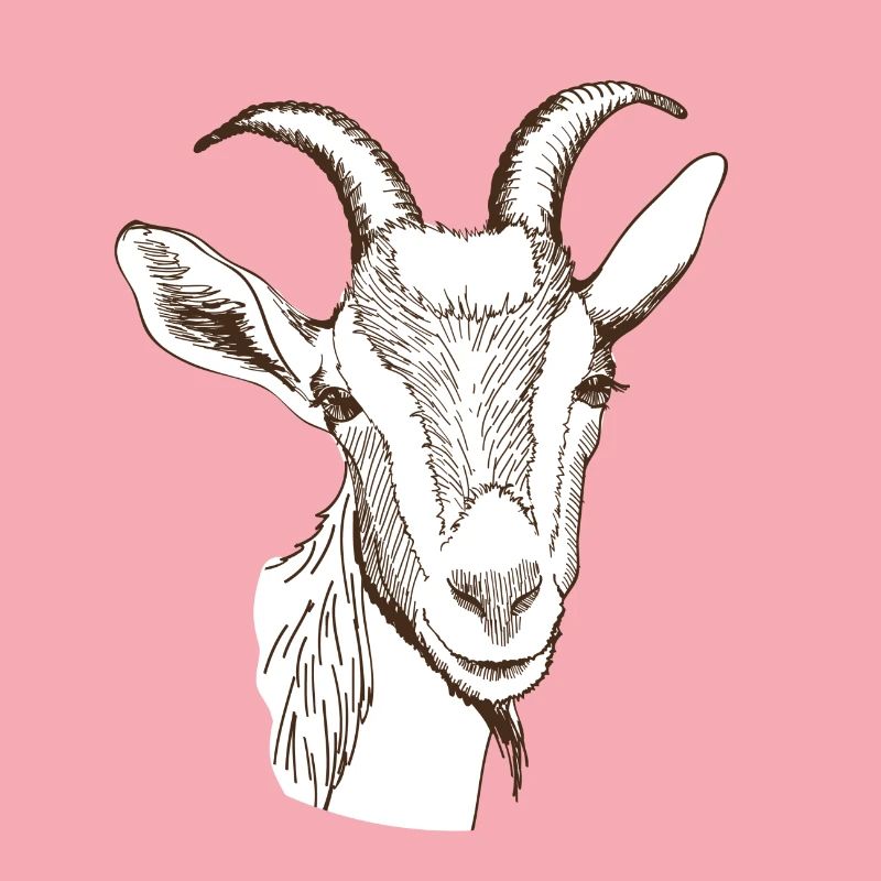 Chèvre