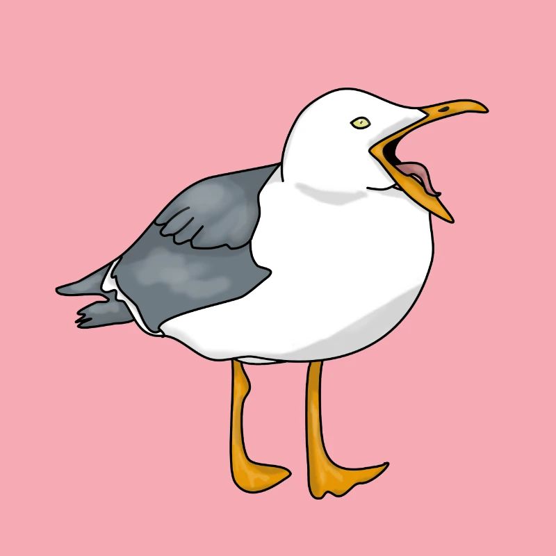 Möwe - Seagull