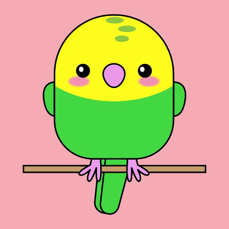 Perroquet Budgerigar