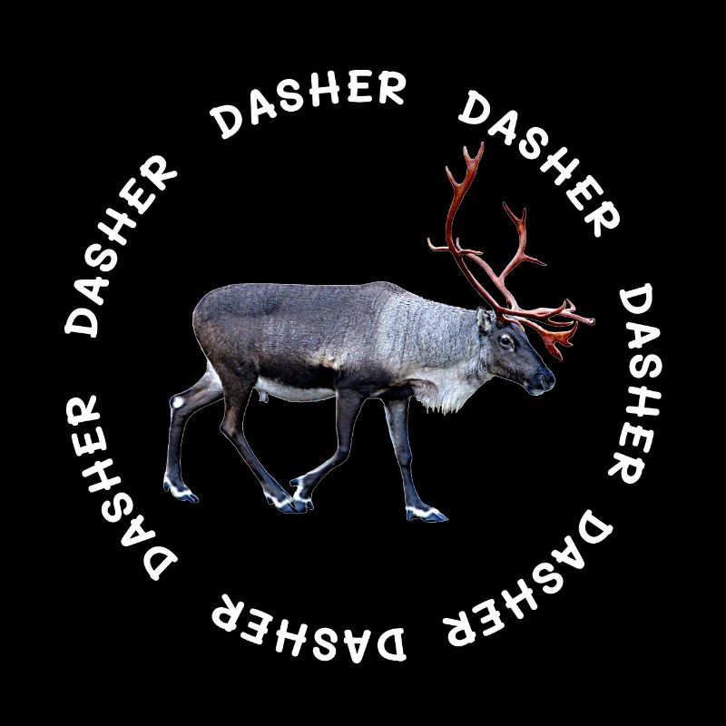 DASHER