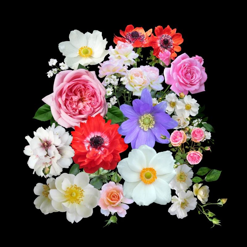 Bouquet de fleurs d’été