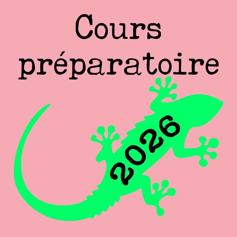 Preparatory Course 2026 School