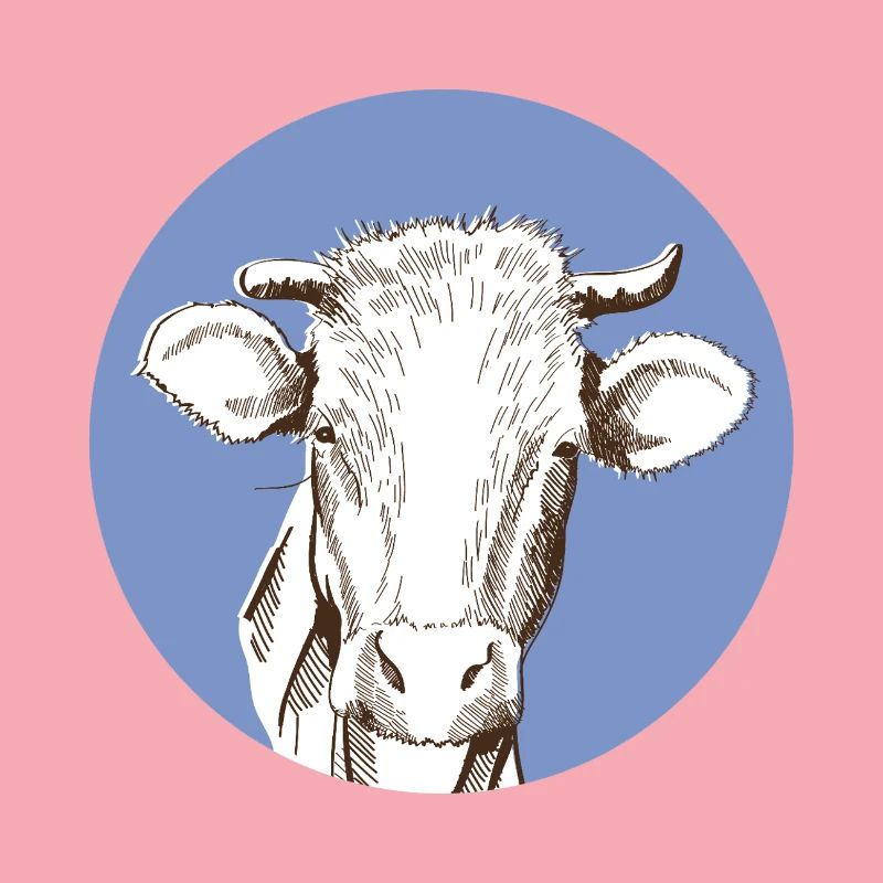 Vache