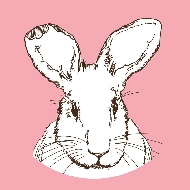 Lapin