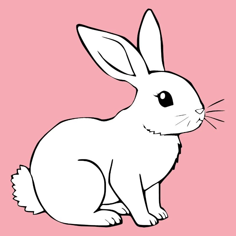 Rabbit Bunny Bunny Dwarf Rabbit Gift