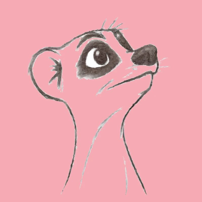 Suricate d’interrogation