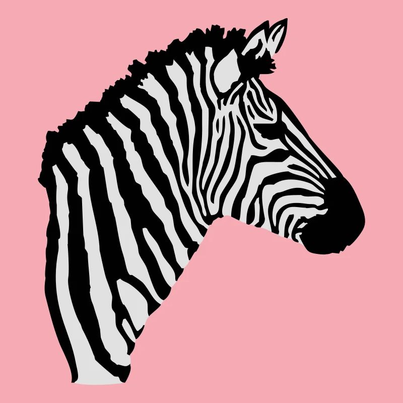 Zebra Kopf
