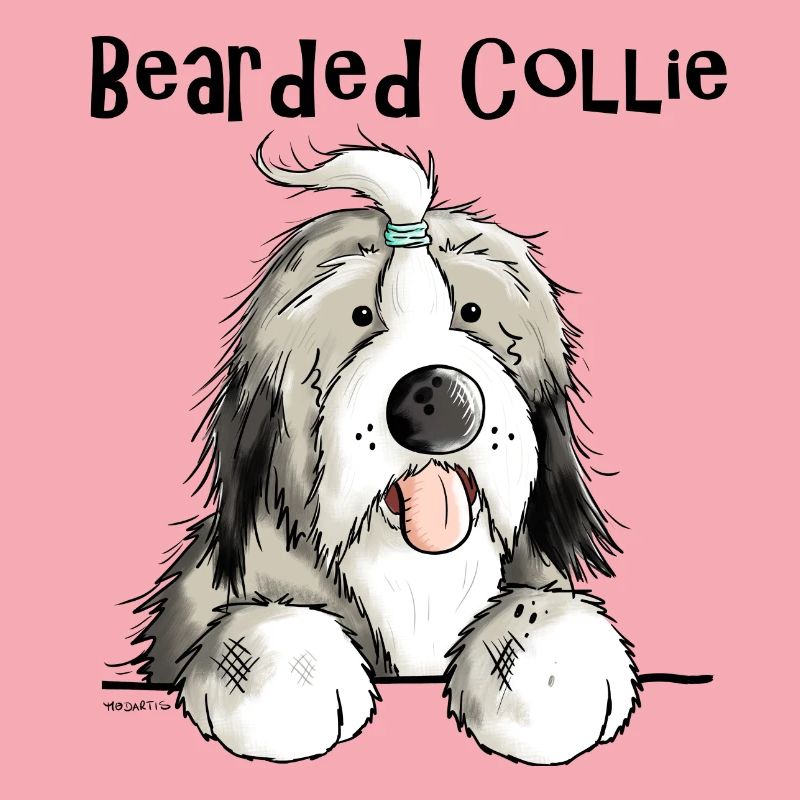 Mignon Bearded Collie