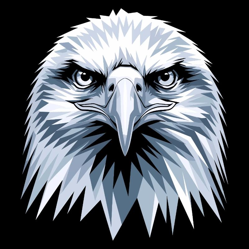 Aigle Pygargue à tête blanche Aigle royal Pygargue à queue blanche