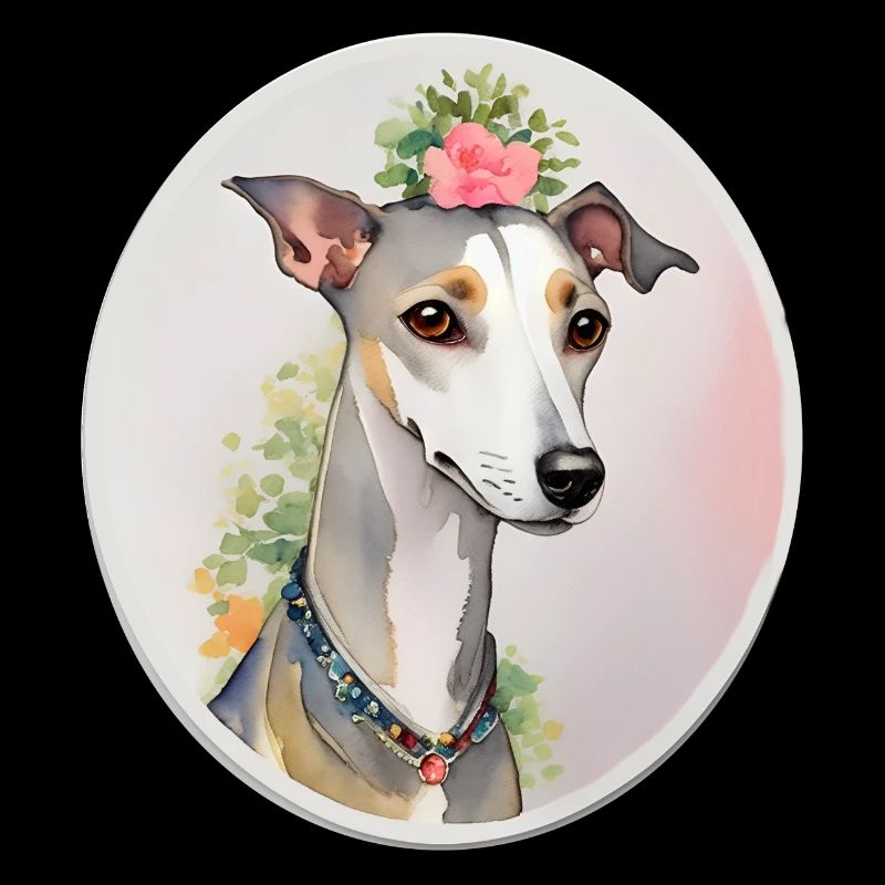 Whippet
