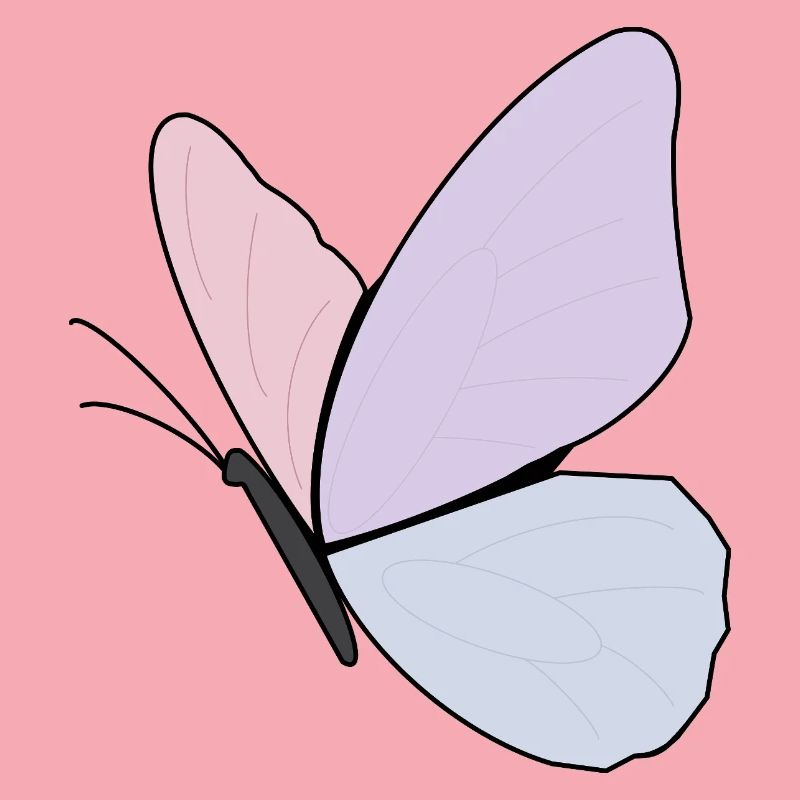 Conception de papillon pastel