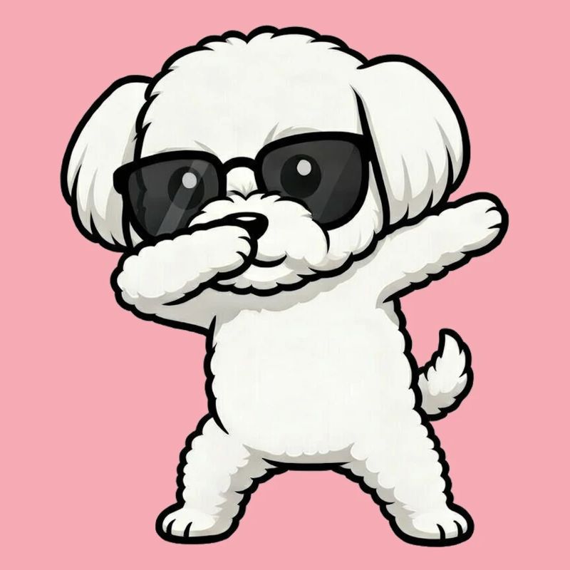 Dabbing Maltese