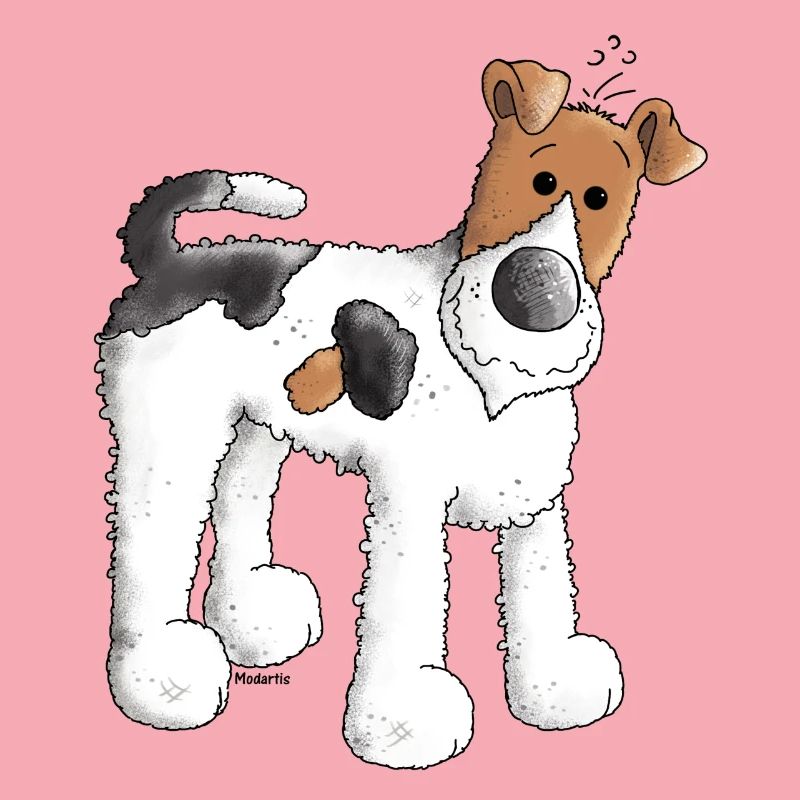 Fox Terrier - Chien