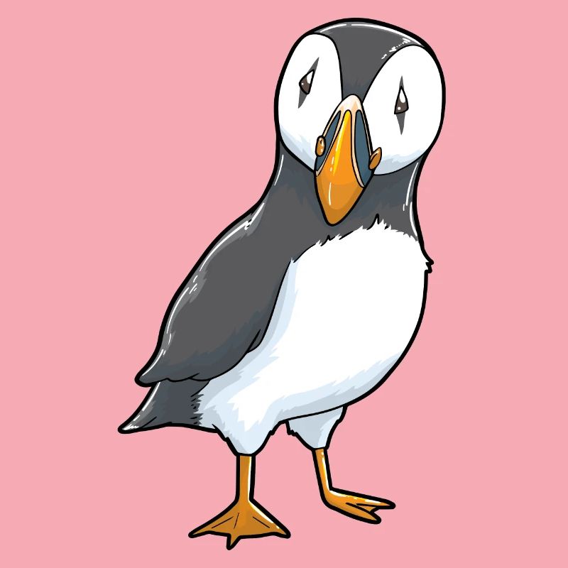 Papageitaucher Puffin