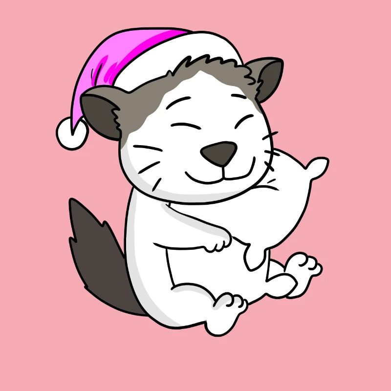 Cat cat breed Ragdoll