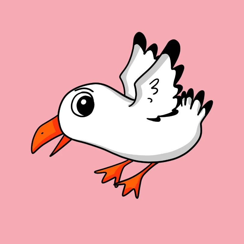 Oiseau mouette