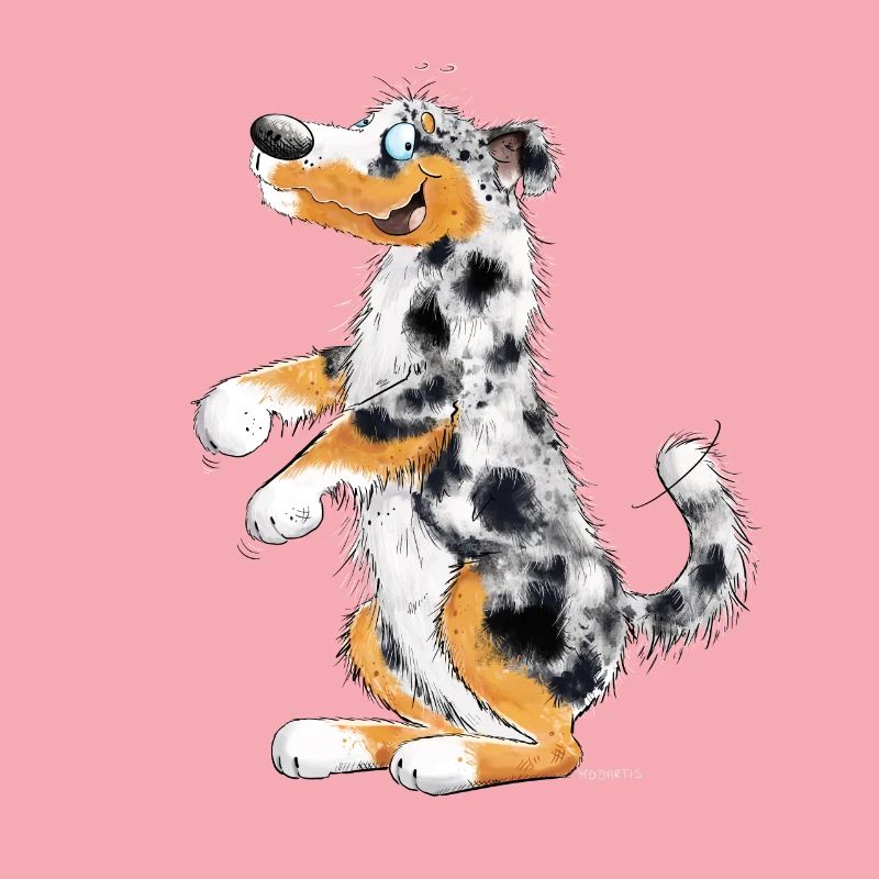 Funny Australian Shepherd