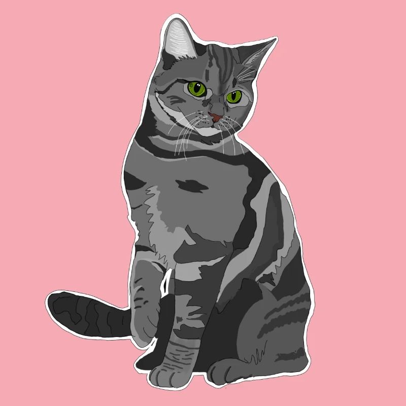 Chat gris