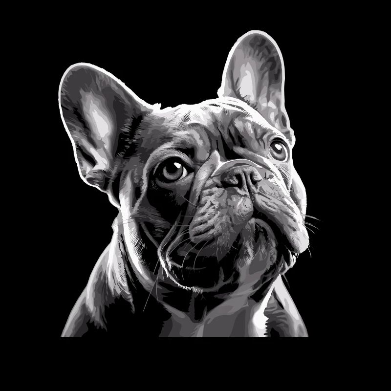 French Bulldog Black White Bully Face
