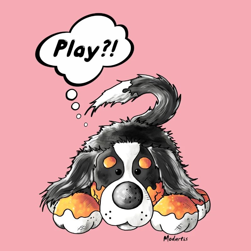 Playing Bernese Mountain Dog
