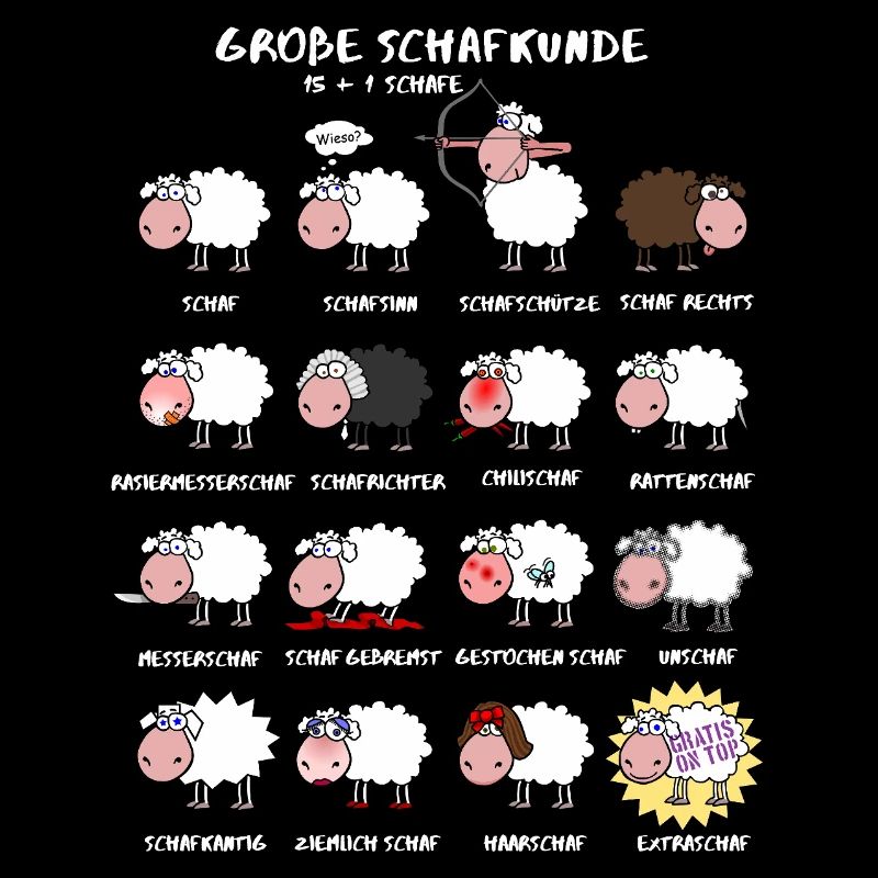 Great sheep knowledge