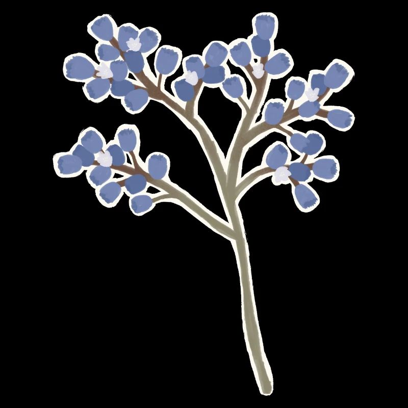 Meerlavendel