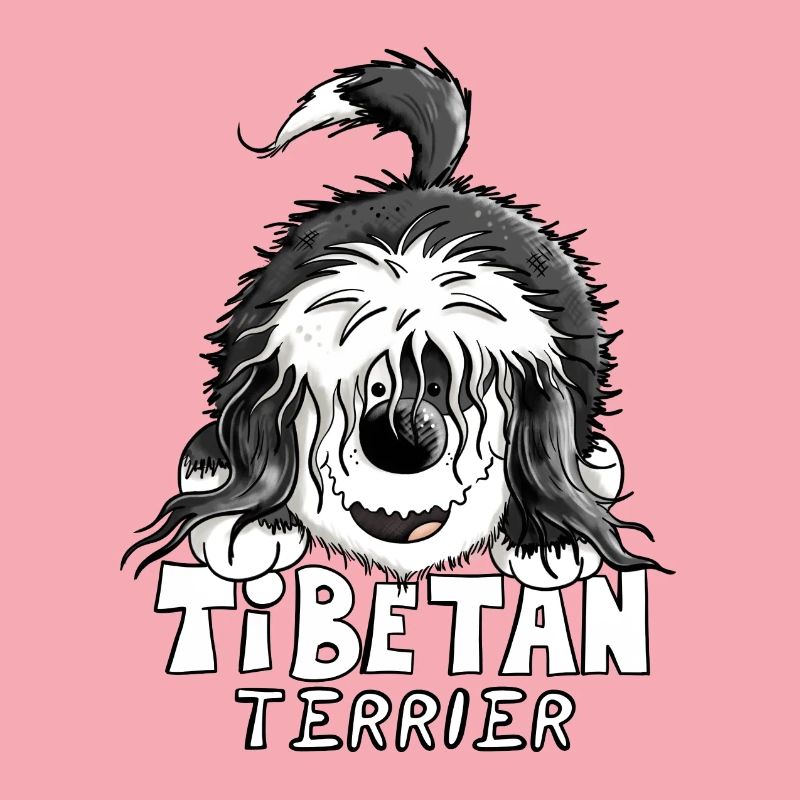 Süßer Tibet Terrier