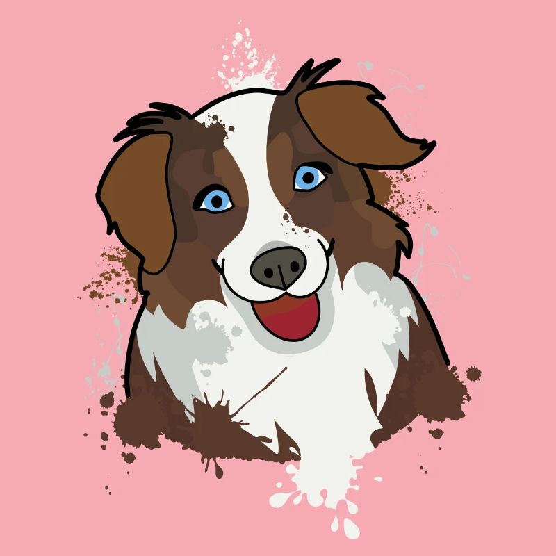 Australian Shepherd