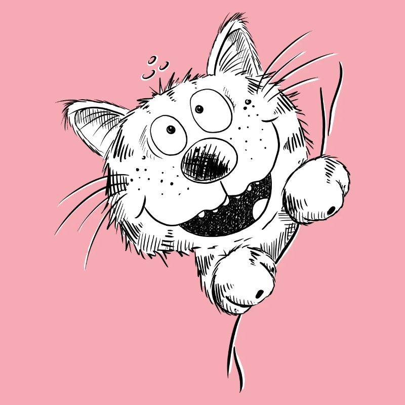 Drôle de chat rit