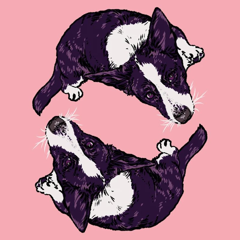 Corgis